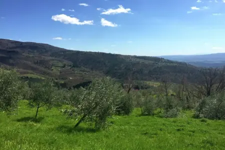 Belvedere Acacie, Ferme rustique à Castelfranco Piandiscò avec vue panoramique - Photo 33