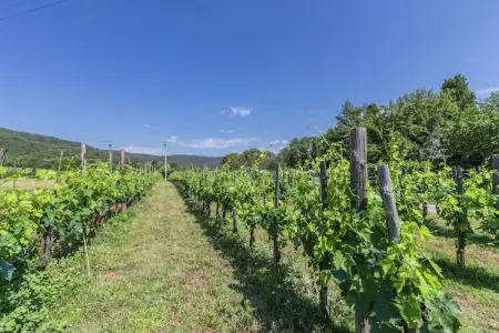 San Martino, Vaste maison de vacances à Bucine avec piscine privée - Photo 28
