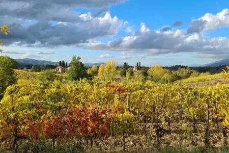 San Martino, Vaste maison de vacances à Bucine avec piscine privée - Photo 31
