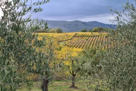 San Martino, Vaste maison de vacances à Bucine avec piscine privée - Photo 34