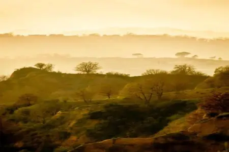 Podere Pulicciano Orciaia, Appartement cosy à Castelfranco di Sopra, pelouse et piscine - Photo 23