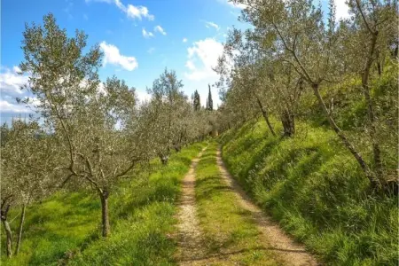 Podere Pulicciano Orciaia, Appartement cosy à Castelfranco di Sopra, pelouse et piscine - Photo 25