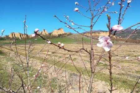 Podere Pulicciano Orciaia, Appartement cosy à Castelfranco di Sopra, pelouse et piscine - Photo 30