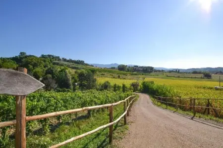 Podere Pulicciano Orciaia, Appartement cosy à Castelfranco di Sopra, pelouse et piscine - Photo 37
