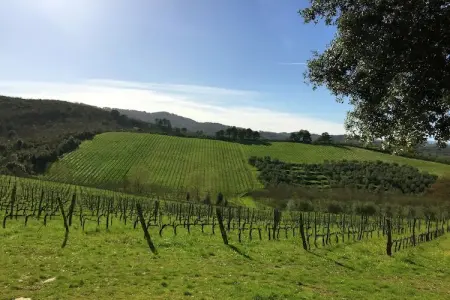 il Coppo, Ferme moderne à Bucine avec piscine - Photo 28