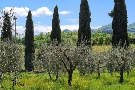 il Coppo, Ferme moderne à Bucine avec piscine - Photo 39