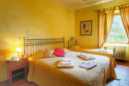 Caprifoglia, Ferme contemporain à Loro Ciuffenna avec piscine - Photo 4