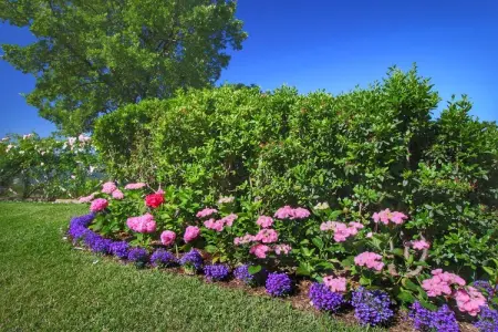 Caprifoglia, Ferme contemporain à Loro Ciuffenna avec piscine - Photo 34
