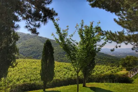 Caprifoglia, Ferme contemporain à Loro Ciuffenna avec piscine - Photo 39