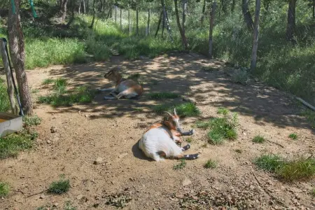 Clematilda, Ferme confortable avec piscine en Toscane - Photo 30