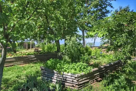 Glici, Ferme contemporain à Loro Ciuffenna avec piscine - Photo 33