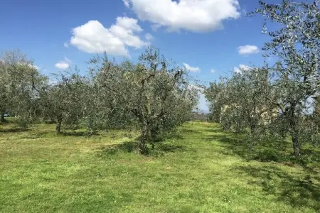 Lisa, Demeure accueillante avec piscine en Toscane - Photo 24
