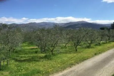 Monna Due, Demeure animée avec piscine partagée à Pian di Sco - Photo 29