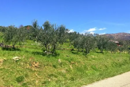 Monna Due, Demeure animée avec piscine partagée à Pian di Sco - Photo 30