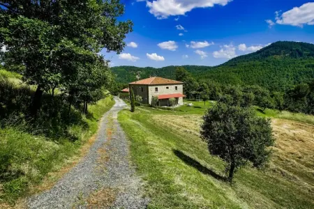 Biancospino, Elégante maison de vacances avec piscine située à Anghari - Photo 21