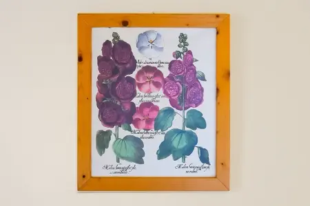 Biancospino, Elégante maison de vacances avec piscine située à Anghari - Photo 23