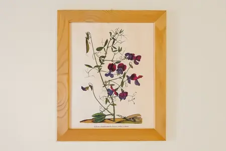 Biancospino, Elégante maison de vacances avec piscine située à Anghari - Photo 27