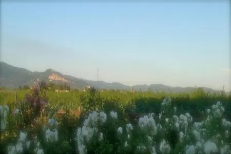 Loggia, Une ferme paisible à Cortona avec piscine - Photo 32