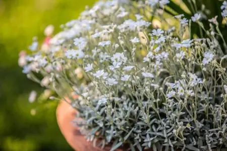 Loggia, Une ferme paisible à Cortona avec piscine - Photo 33