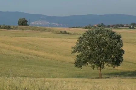 Loggia, Une ferme paisible à Cortona avec piscine - Photo 38