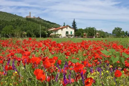 Montecchio, Ferme spacieuse avec piscine s à Castiglion Fiorentino - Photo 5
