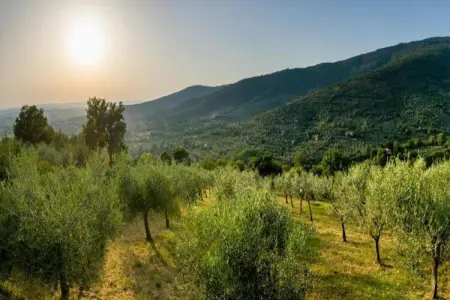 Chalet, Chalet de charme avec piscine à Cortona - Photo 34