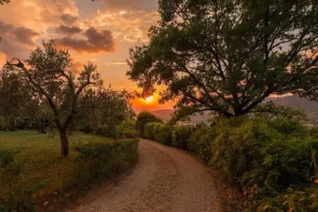 Chalet, Chalet de charme avec piscine à Cortona - Photo 39