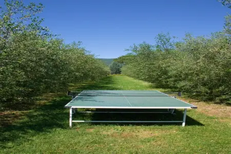 Cicerchia, Luxueuse maison de vacances à Cortona avec piscine - Photo 8