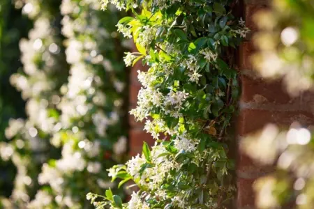 Cicerchia, Luxueuse maison de vacances à Cortona avec piscine - Photo 33