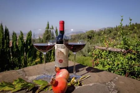 Villa Teresa, Villa luxueuse à Cortona, avec piscine - Photo 39