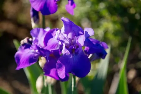 Fontocchio Diciassette, Charmante villa à Cortona, avec piscine - Photo 38