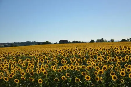 Eugenio Nove, Charmante villa à Cortona, avec piscine - Photo 28