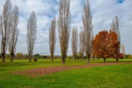 Portico della Volpe, Maison de vacances de charme à Foiano della Chiana - Photo 22
