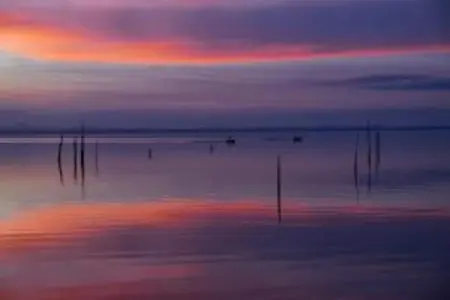 Portico della Volpe, Maison de vacances de charme à Foiano della Chiana - Photo 23