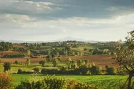 Portico della Volpe, Maison de vacances de charme à Foiano della Chiana - Photo 28