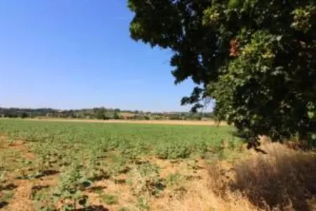 Portico della Volpe, Maison de vacances de charme à Foiano della Chiana - Photo 29
