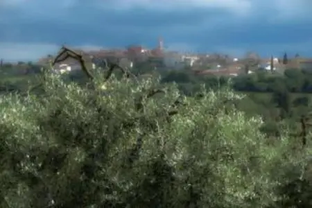 Portico della Volpe, Maison de vacances de charme à Foiano della Chiana - Photo 30