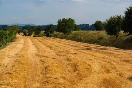 Portico della Volpe, Maison de vacances de charme à Foiano della Chiana - Photo 32