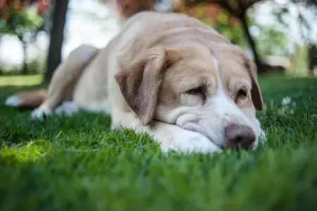 Portico della Volpe, Maison de vacances de charme à Foiano della Chiana - Photo 35