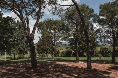 Castagno del Riccio, Maison de vacances moderne avec piscine, Foiano della Chiana - Photo 22