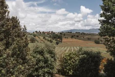 Castagno del Riccio, Maison de vacances moderne avec piscine, Foiano della Chiana - Photo 23