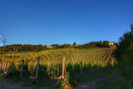 Limone, Ferme de charme à Radda In Chianti avec piscine - Photo 30