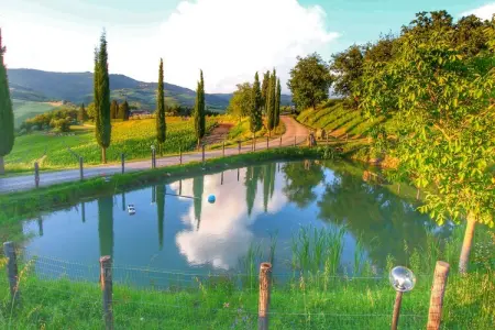 Limone, Ferme de charme à Radda In Chianti avec piscine - Photo 36