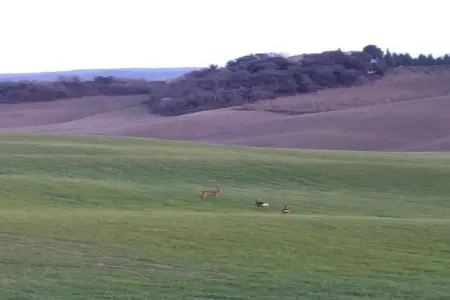 Stalla Rossa, Ferme à Castelnuovo Berardenga Toscane avec Jardin - Photo 31