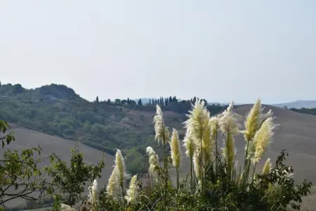 Stalla Rossa, Ferme à Castelnuovo Berardenga Toscane avec Jardin - Photo 32