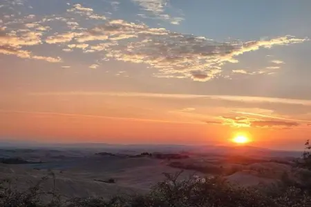 Forno, Ferme au sommet d'une colline à Castelnuovo Berardenga Toscane avec barbecue - Photo 36