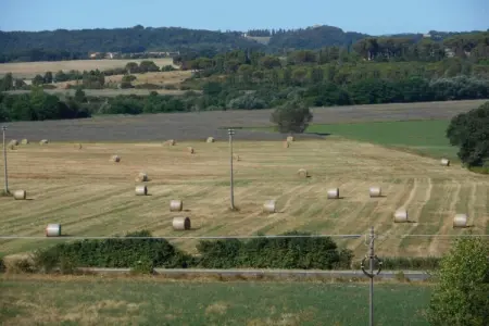 Matilde, Ferme adapté aux enfants à Buonconvento avec piscine - Photo 30