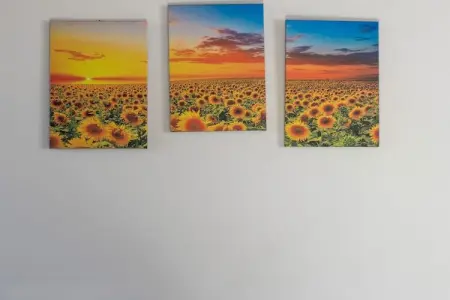 Matilde, Ferme adapté aux enfants à Buonconvento avec piscine - Photo 36