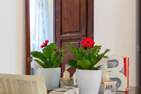 Matilde, Ferme adapté aux enfants à Buonconvento avec piscine - Photo 38