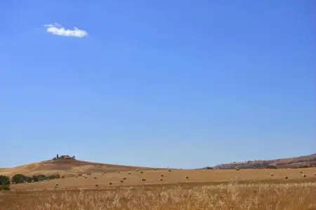 Granaio, Ferme authentique à Pienza avec de belles vues - Photo 39